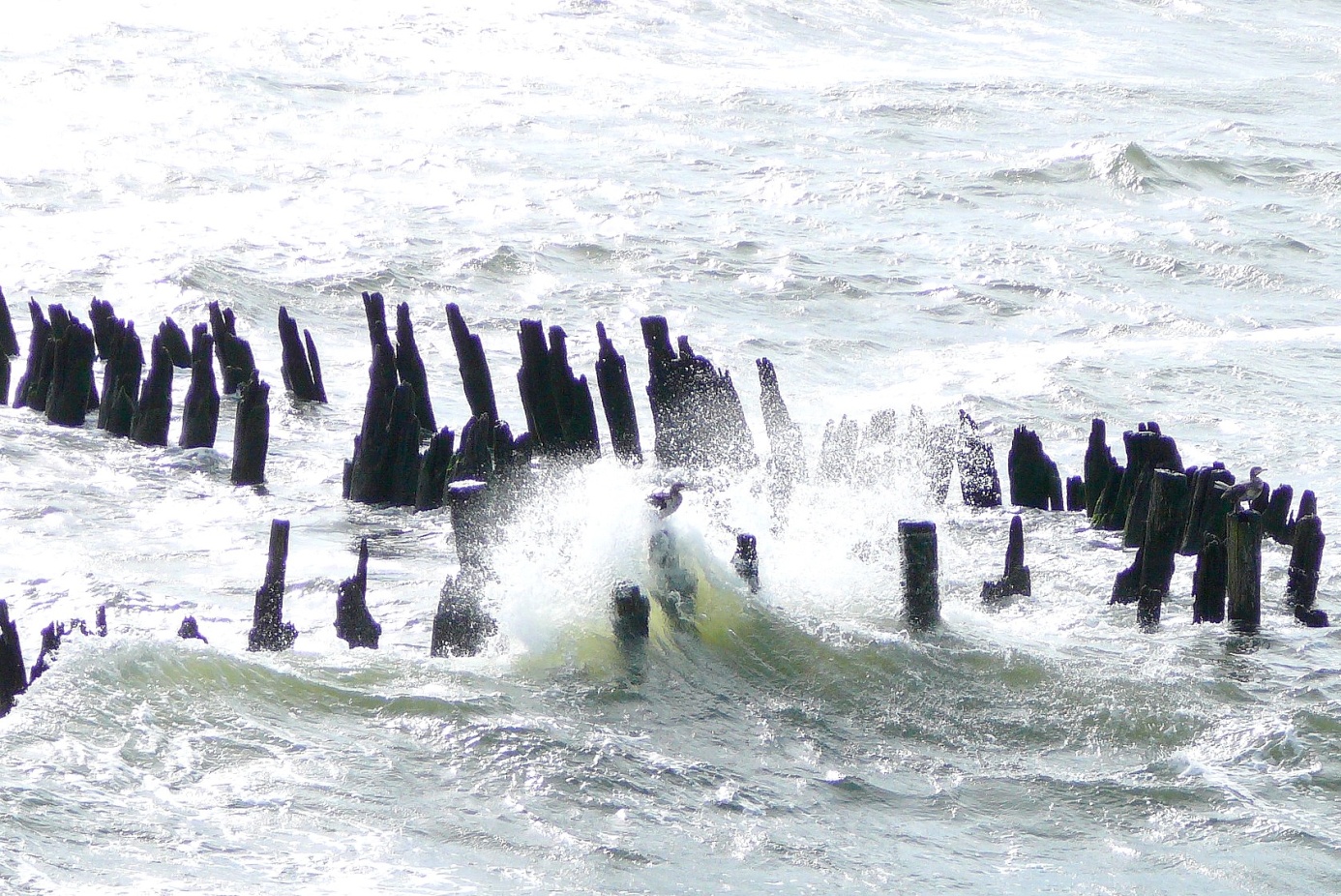 wasser2