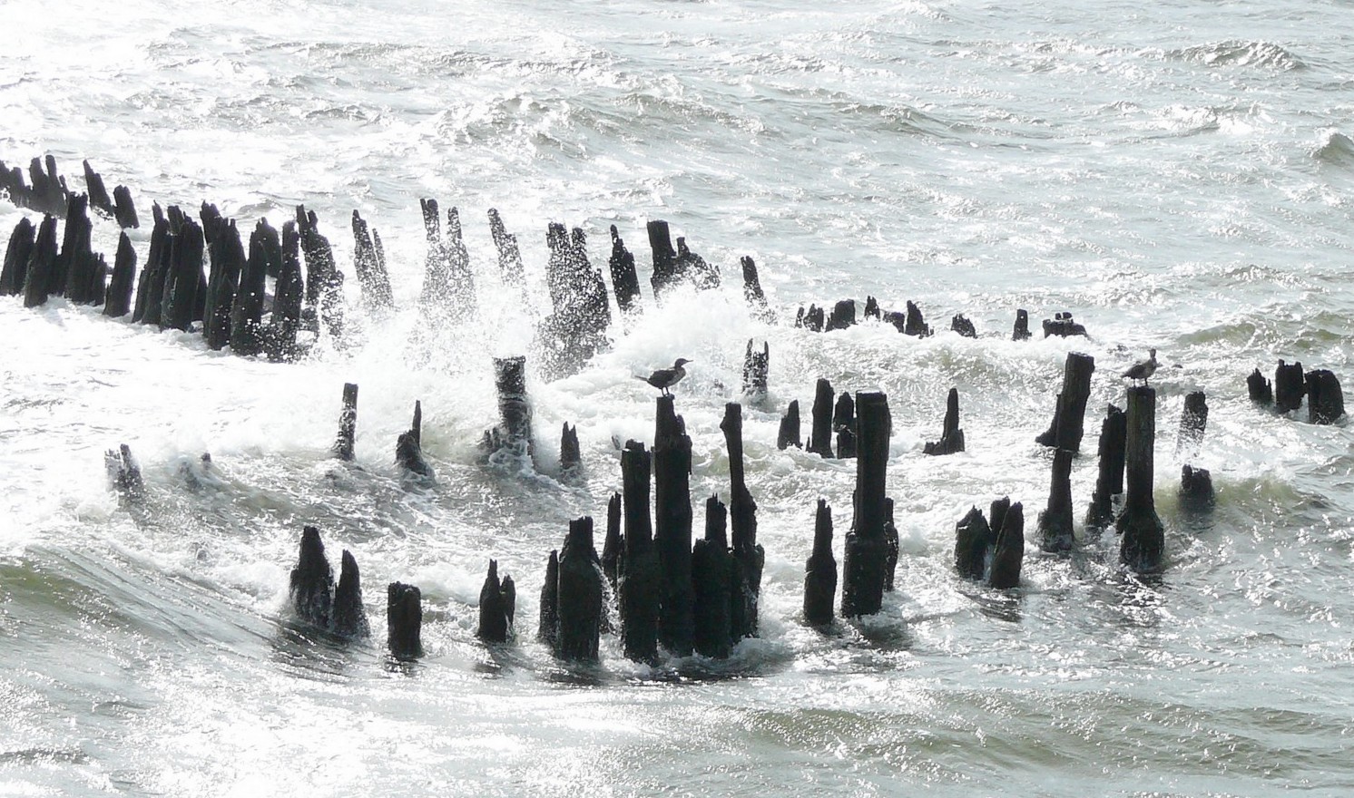 wasser3